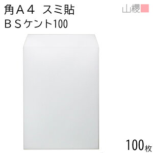 RN  pA4 X~\ BSPgCoC 100g giV 100 / A4p  n X֔ԍgȂ 00562666-0100