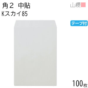 RN  p2 \ KXJC 85g e[vt giV 100 / A4p Xbg J[Ntg n X֔ԍgȂ  p Ɩp  Зp rWlX ItBX c c^ 00563256-0100