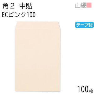 RN  p2 \ ECsNCoC 100g e[vt giV 100 / A4p Xbg pXeJ[ n X֔ԍgȂ  p Ɩp  Зp rWlX ItBX c c^ 00563262-0100