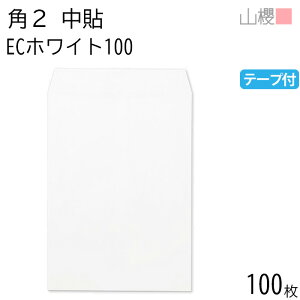 RN  p2 \ ECzCgCoC 100g e[vt giV 100 / A4p Xbg  n X֔ԍgȂ  p Ɩp  Зp rWlX ItBX c c^ 00563270-0100