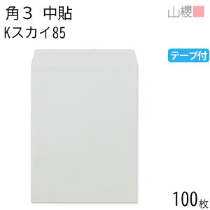 RN  p3 \ KXJC 85g e[vt giV 100 / B5p Xbg J[Ntg n X֔ԍgȂ  p Ɩp  Зp rWlX ItBX c c^ 00563286-0100