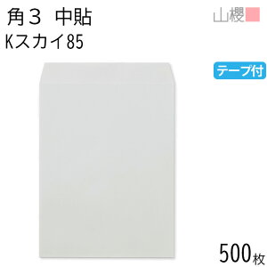 [P[X̔] RN  p3 \ KXJC 85g e[vt giV 500 / B5p Xbg J[Ntg n X֔ԍgȂ  p Ɩp  Зp rWlX ItBX c c^ 00563