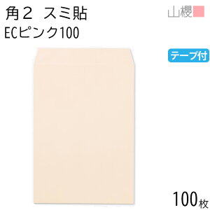 RN  p2 X~\ ECsNCoC 100g e[vt giV 100 / A4p Xbg pXeJ[ n X֔ԍgȂ  p Ɩp  Зp rWlX ItBX c c^ 00563662-0100