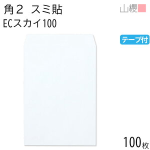 RN  p2 X~\ ECXJC 100g e[vt giV 100 / A4p Xbg pXeJ[ n X֔ԍgȂ  p Ɩp  Зp rWlX ItBX c c^ 00563668-0100