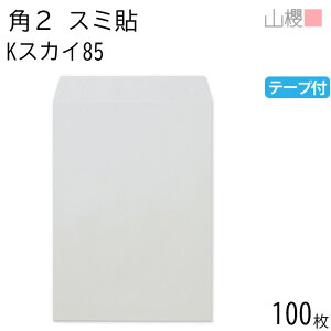 RN  p2 X~\ KXJC 85g e[vt giV 100 / A4p Xbg J[Ntg n X֔ԍgȂ  p Ɩp  Зp rWlX ItBX c c^ 00563696-0100