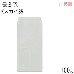 RN  3 t \ A653 KXJC 85g giV 100 / (OV) A4Oܗp J[Ntg n X֔ԍgȂ  p Ɩp  Зp rWlX ItBX c c^ 