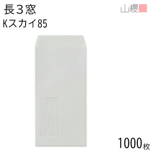 ySALE艿i!!z[P[X̔] RN  3 t \ A653 KXJC 85g giV 1,000 / (OV) A4Oܗp J[Ntg n X֔ԍgȂ  p Ɩp  Зp r