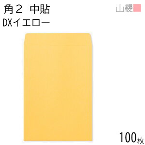 RN  p2 \ DXCG[ 164g giV 100 /  A4p n X֔ԍgȂ  p Ɩp  Зp rWlX ItBX c c^  00565011-0100