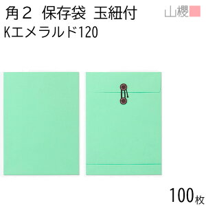 RN  p2 ۑ KGh 120g giV 100 / ʕRt }`t A4p J[Ntg n X֔ԍgȂ  p Ɩp q ptbg y ۑ  c c^ 00566509-010
