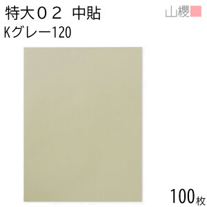 RN  02 \ KO[ 120g giV 100 / ^ 435×570mm B3p J[Ntg n X֔ԍgȂ  p Ɩp Зp rWlX |X^[ J_[ } Z {[h 