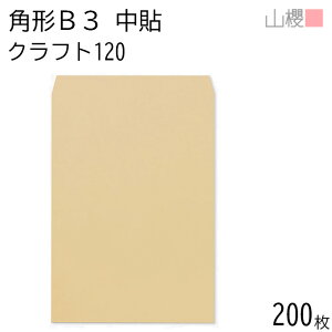 [P[X̔] RN  p`B3 \ NtgCoC 120g giV 200 / ^ B3p  n X֔ԍgȂ  p Ɩp  Зp rWlX |X^[ J_[ } Z {[