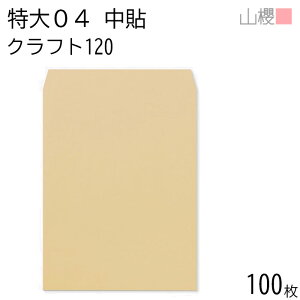 RN  04 \ NtgCoC 120g giV 100 / ^ 340×445mm A3p  n X֔ԍgȂ  p Ɩp Зp rWlX ItBX |X^[ J_[ } Z {[
