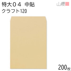 [P[X̔] RN  04 \ NtgCoC 120g giV 200 / ^ 340×445mm A3p  n X֔ԍgȂ  p Ɩp Зp rWlX |X^[ J_[ } Z {