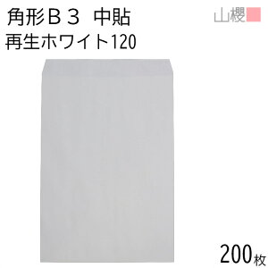 [P[X̔] RN  p`B3 \ zCgR40CoC 120g giV 200 / ^ B3p  n X֔ԍgȂ  p Ɩp  Зp rWlX |X^[ J_[ } Z {[h 