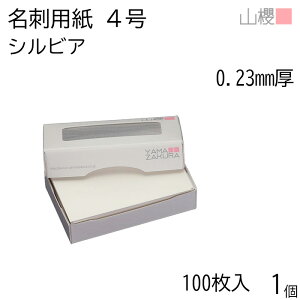 RN h 4 VrA 0.230mm MS() 100 1 / hp hTCY  n  p   IWi h쐬 J[h  f  Vbv bZ[W J[h Vv