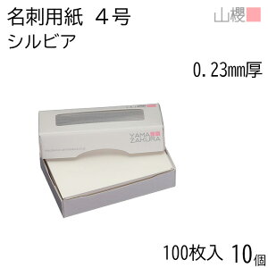 [P[X̔] RN h 4 VrA 0.230mm MS() 100 10 / hp hTCY  n  p   IWi h쐬 J[h   Vbv bZ[W J[h 
