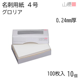 [P[X̔] RN h 4 OA 0.240mm MS() 100 10 / hp hTCY  n  p   IWi h쐬 J[h   Vbv bZ[W J[h 