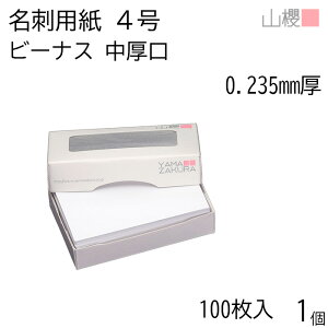 RN h 4 r[iXCoC 0.235mm MS() 100 1 / hp hTCY  n  p   IWi h쐬 J[h  f  Vbv bZ[W J[h Vv