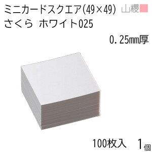 RN ~jJ[h XNGA  zCg 0.250mm 100 1 / 49×49mm ~jh n oXN 00127001-0001