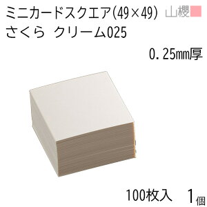 RN ~jJ[h XNGA  N[ 0.250mm 100 1 / 49×49mm ~jh n oXN 00127002-0001