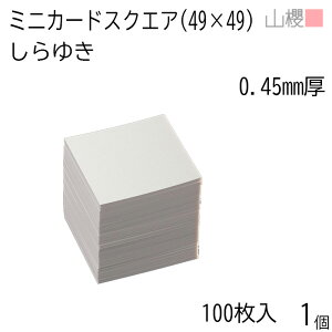 RN ~jJ[h XNGA 䂫 0.450mm 100 1 / 49×49mm ~jh n oXN 00127003-0001