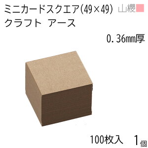 RN ~jJ[h XNGA Ntg A[X 0.360mm 100 1 / 49×49mm ~jh n oXN 00127007-0001