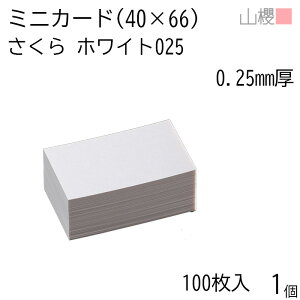 RN ~jJ[h  zCg 0.250mm 100 1 / 40×66mm ~jh n oXN 00127008-0001