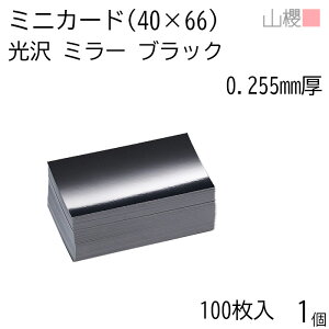 RN ~jJ[h ~[ ubN 0.255mm 100 1 / 40×66mm ~jh n oXN 00127011-0001