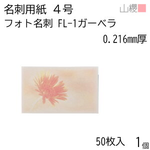 RN h 4 tHgh FL-1 K[x 0.216mm PPP[X 50 1 / hp hTCY G n  p   IWi h쐬 J[h   bZ[W J[h 