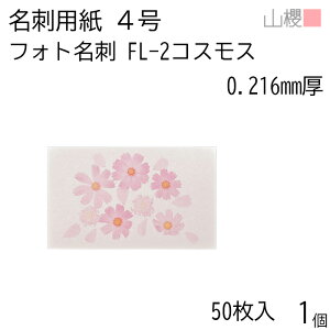 RN h 4 tHgh FL-2 RXX 0.216mm PPP[X 50 1 / hp hTCY G n  p   IWi h쐬 J[h   bZ[W J[h 