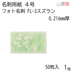 RN h 4 tHgh FL-3 XY 0.216mm PPP[X 50 1 / hp hTCY G n  p   IWi h쐬 J[h   bZ[W J[h 