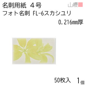 RN h 4 tHgh FL-6 XJV 0.216mm PPP[X 50 1 / hp hTCY G n  p   IWi h쐬 J[h   bZ[W J[h