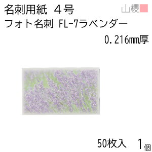 RN h 4 tHgh FL-7 x_[ 0.216mm PPP[X 50 1 / hp hTCY G n  p   IWi h쐬 J[h   bZ[W J[h