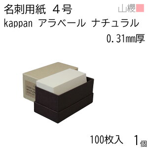 RN h 4 kappan Ax[ i` 0.310mm \ 100 1 / ňp hp hTCY  n 00351030-0001