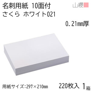 RN h 10ʕt zCgCoC 021 () 0.210mm [p220+C20t] 1 / hp A4TCY t  n    IWi h쐬   bZ[W J[h Vv 