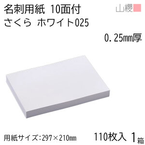 RN h 10ʕt zCgCoC 025 () 0.250mm [p110+MS10t] 1 / hp A4TCY t  n    IWi h쐬   bZ[W J[h Vv