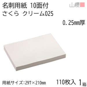 RN h 10ʕt N[CoC 025 () 0.250mm [p110+MS10t] 1 / hp A4TCY t N[ n    IWi h쐬   bZ[W J[h V