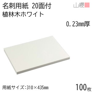 RN h 20ʕt Aі؃zCg 0.230mm 100 / hp 310×435mm  n    IWi h쐬 J[h  f  Vbv bZ[W J[h Vv n vdl 