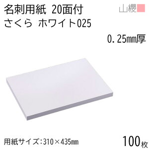 RN h 20ʕt zCgCoC 025 () 0.250mm 100 / hp 310×435mm  n    IWi h쐬 J[h  f  Vbv bZ[W J[h Vv n 