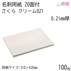 RN h 20ʕt N[CoC 021 () 0.210mm 100 / hp 310×435mm N[ n    IWi h쐬 J[h  f  Vbv bZ[W J[h Vv