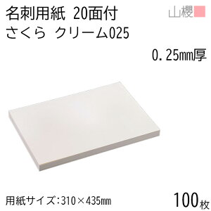 RN h 20ʕt N[CoC 025 () 0.250mm 100 / hp 310×435mm N[ n    IWi h쐬 J[h  f  Vbv bZ[W J[h Vv