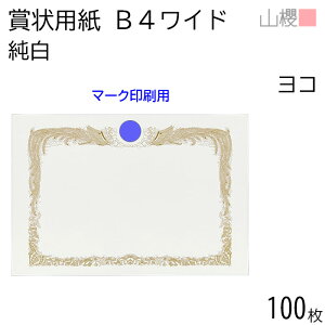 [P[X̔] RN ܏p B4Ch  }[Np CoC 100 / 390×266mm c Pg  SM \ ӏ ؏ Г\ FΏ F  ReXg RN[ Cxg  n 