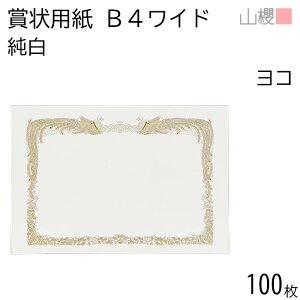 [P[X̔] RN ܏p B4Ch  CoC 100 / 390×266mm c Pg  SY \ ӏ ؏ Г\ FΏ F  ReXg RN[ Cxg  n 00801077-0100
