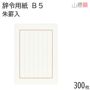 [܂Ƃߔ] RN ߗp J3 g r ㎿ 300 / B5TCY  i Rs[p p dv pi  `[  ؏ ܏ Օi \ Ə؏ ӏ I؏  ㎿