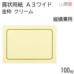 [P[X̔] RN ܏p A3Ch cp g N[CoC 100 / pێlpg 436×306mm RG \ ӏ ؏ Г\ FΏ F  ReXg RN[ Cxg  n 00