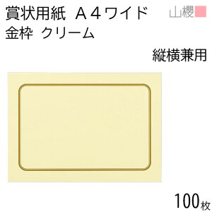 [P[X̔] RN ܏p A4Ch cp g N[CoC 100 / pێlpg 306×218mm RG \ ӏ ؏ Г\ FΏ F  ReXg RN[ Cxg  n 00