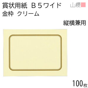 [P[X̔] RN ܏p B5Ch cp g N[CoC 100 / pێlpg 266×195mm RG \ ӏ ؏ Г\ FΏ F  ReXg RN[ Cxg  n 00