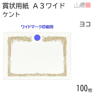 [P[X̔] RN ܏p A3Ch  Ch}[Np PgCoC 0.290mm 100 / 436×306mm c Pg  KMW \ ӏ ؏ Г\ FΏ F  ReXg RN[ Cx