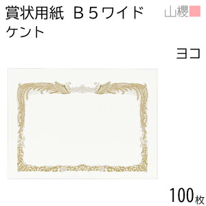 [P[X̔] RN ܏p B5Ch  PgCoC 0.290mm 100 / 266×195mm c Pg  KY 00802011-0100