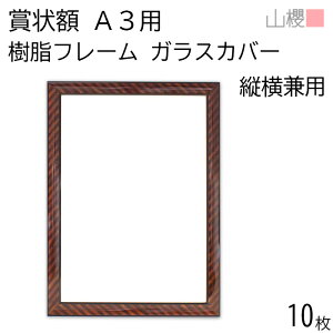 [P[X̔] RN z A3 ܏z t[(ؖڒ) KXJo[ 10 / pTCY436×306mm \ ӏ ؏ Г\ FΏ F  ReXg RN[ Cxg 00823010-0010